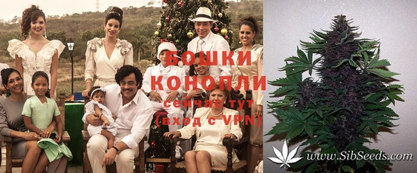 первитин Балахна