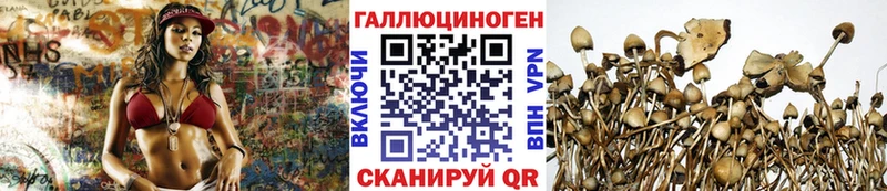 наркотики  Бобров  Псилоцибиновые грибы Cubensis 